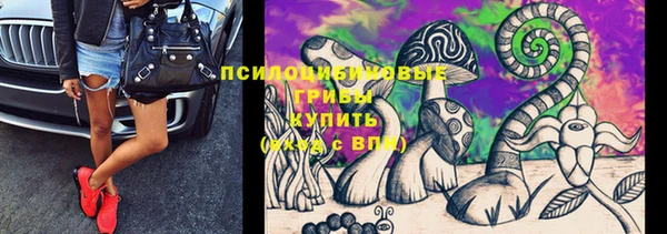 Альфа ПВП Баксан